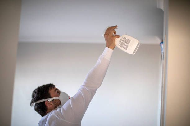 Best Black Mold Removal  in Huntsville, TX