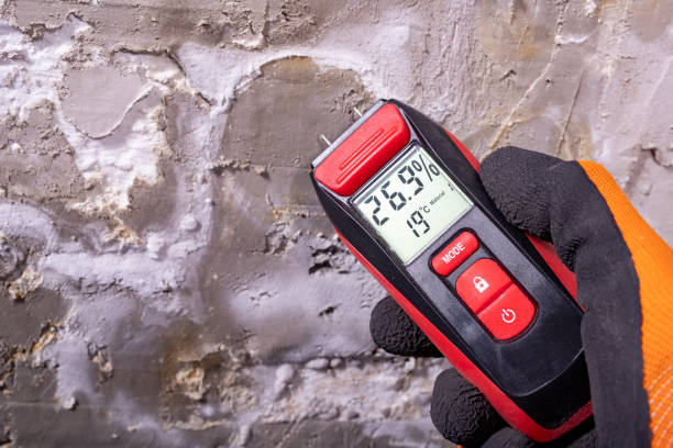 Best Toxic Mold Removal  in Huntsville, TX