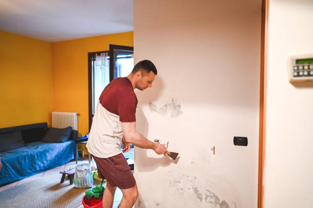 Best Mold Inspection  in Huntsville, TX