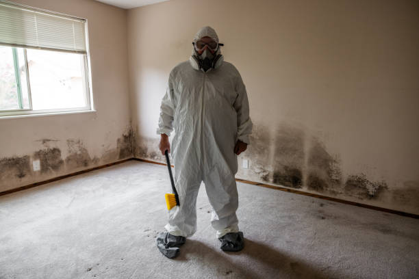 Best Fast Mold Removal  in Huntsville, TX