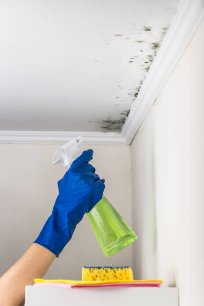 Water Damage Restoration in Huntsville, TX